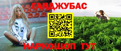 дмт Белореченск