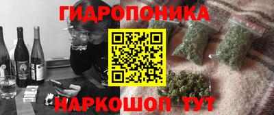 скорость Бердск