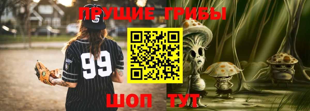 Гурьевск  Галлюциногенные грибы GOLDEN TEACHER  Вход с VPN 
