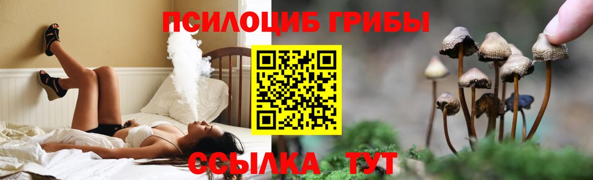 Псилоцибиновые грибы GOLDEN TEACHER Гурьевск
